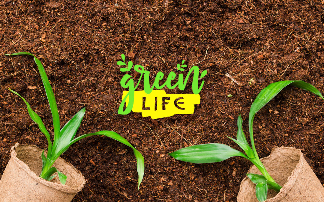 Sahara Group Boosts Climate Protection with Project #Greenlife